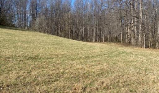 Photo #10 of SKY RIDGE TRL, CULPEPER, VA 10.1 acres