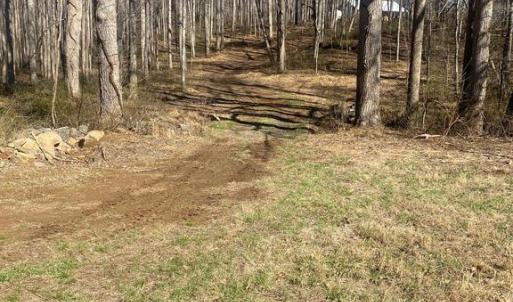 Photo #12 of SKY RIDGE TRL, CULPEPER, VA 10.1 acres