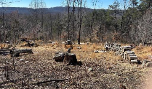 Photo #5 of CARTERS RUN, MARSHALL, VA 22.5 acres