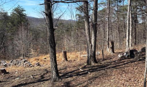 Photo #3 of CARTERS RUN, MARSHALL, VA 22.5 acres