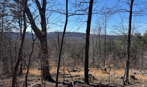 Photo #1 of CARTERS RUN, MARSHALL, VA 22.5 acres