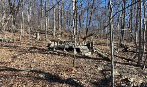 Photo #6 of CARTERS RUN, MARSHALL, VA 22.5 acres