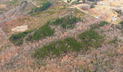 Photo #2 of 5239 DICKERSON RD, PARTLOW, VA 10.0 acres