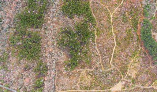 Photo #3 of 5190 DICKERSON RD, PARTLOW, VA 10.0 acres