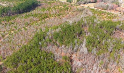 Photo #8 of 5190 DICKERSON RD, PARTLOW, VA 10.0 acres