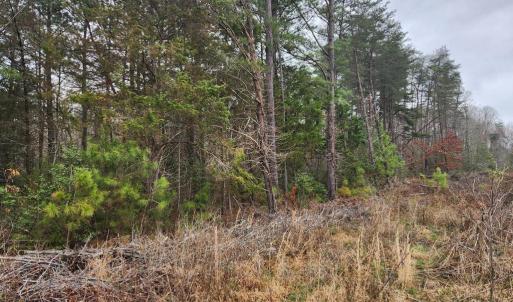 Photo #2 of 8228 FLIPPO DR, FREDERICKSBURG, VA 18.6 acres