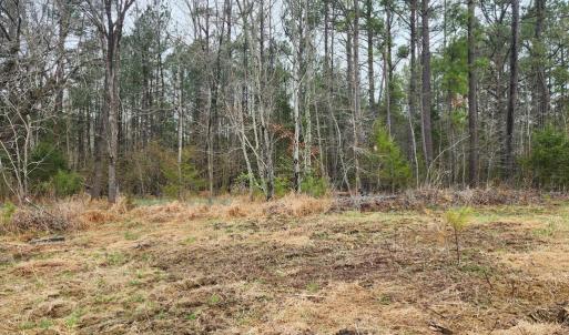 Photo #3 of 8228 FLIPPO DR, FREDERICKSBURG, VA 18.6 acres