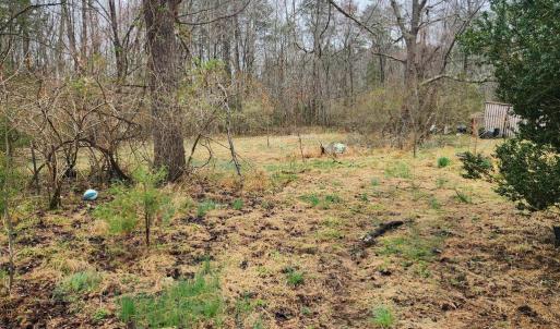 Photo #5 of 8228 FLIPPO DR, FREDERICKSBURG, VA 18.6 acres