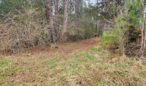 Photo #8 of 8228 FLIPPO DR, FREDERICKSBURG, VA 18.6 acres