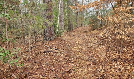 Photo #13 of 8228 FLIPPO DR, FREDERICKSBURG, VA 18.6 acres