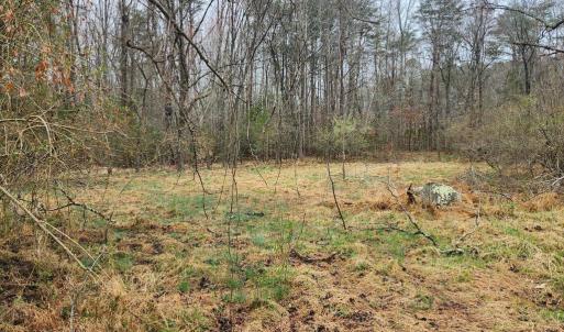 Photo #6 of 8228 FLIPPO DR, FREDERICKSBURG, VA 18.6 acres
