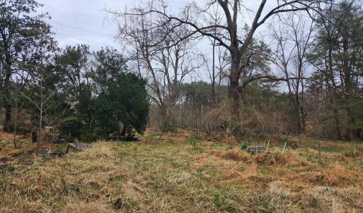 Photo #10 of 8228 FLIPPO DR, FREDERICKSBURG, VA 18.6 acres