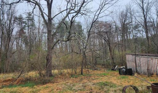Photo #11 of 8228 FLIPPO DR, FREDERICKSBURG, VA 18.6 acres