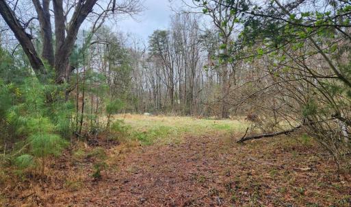Photo #1 of 8228 FLIPPO DR, FREDERICKSBURG, VA 18.6 acres