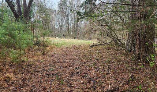 Photo #12 of 8228 FLIPPO DR, FREDERICKSBURG, VA 18.6 acres