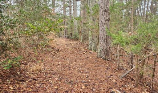 Photo #15 of 8228 FLIPPO DR, FREDERICKSBURG, VA 18.6 acres