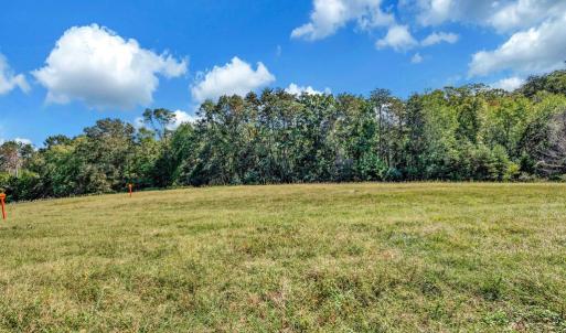 Photo #49 of 31934 INDIANTOWN RD, LOCUST GROVE, VA 30.0 acres