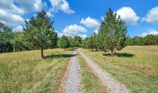 Photo #5 of 31934 INDIANTOWN RD, LOCUST GROVE, VA 30.0 acres