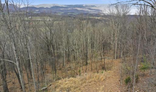 Photo #11 of 509 RIVER VIEW PL, SHENANDOAH, VA 3.1 acres