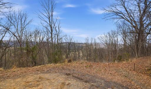 Photo #4 of 509 RIVER VIEW PL, SHENANDOAH, VA 3.1 acres