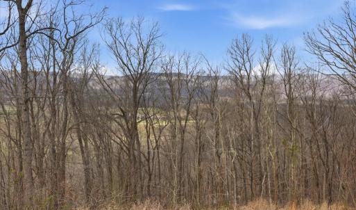 Photo #3 of 509 RIVER VIEW PL, SHENANDOAH, VA 3.1 acres