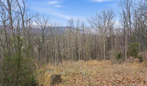 Photo #9 of 509 RIVER VIEW PL, SHENANDOAH, VA 3.1 acres