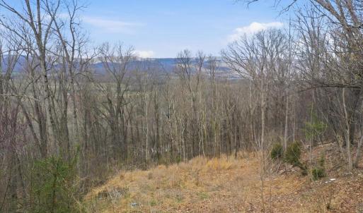 Photo #10 of 509 RIVER VIEW PL, SHENANDOAH, VA 3.1 acres