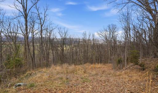 Photo #2 of 509 RIVER VIEW PL, SHENANDOAH, VA 3.1 acres
