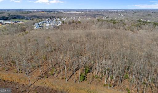 Photo #16 of MASSAPONAX CHURCH RD, FREDERICKSBURG, VA 20.6 acres