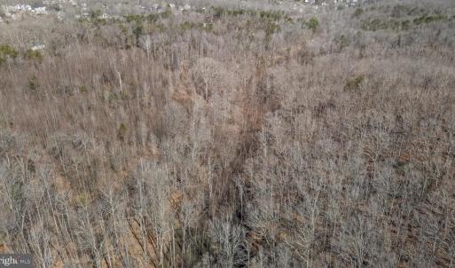 Photo #26 of MASSAPONAX CHURCH RD, FREDERICKSBURG, VA 20.6 acres