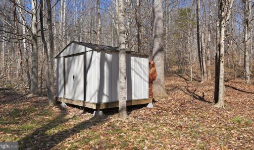 Photo #10 of MARQUIS RD, ORANGE, VA 7.5 acres