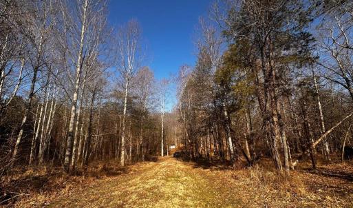 Photo #1 of MARQUIS RD, ORANGE, VA 7.5 acres
