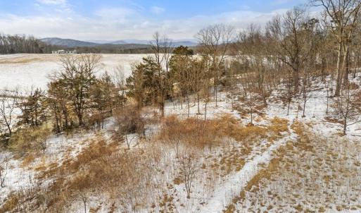 Photo #7 of 33 DOCS RD, CULPEPER, VA 5.0 acres