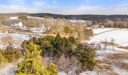 Photo #11 of 33 DOCS RD, CULPEPER, VA 5.0 acres