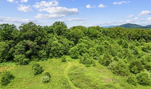 Photo #20 of 33 DOCS RD, CULPEPER, VA 5.0 acres