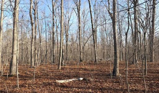 Photo #1 of R/W OFF JUSTICE DR, ORANGE, VA 10.0 acres