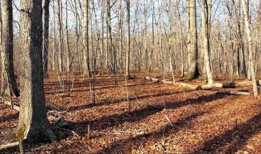 Photo #2 of R/W OFF JUSTICE DR, ORANGE, VA 10.0 acres