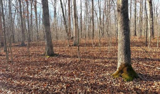 Photo #3 of R/W OFF JUSTICE DR, ORANGE, VA 10.0 acres