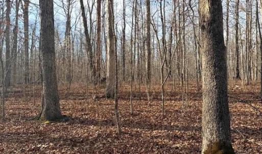 Photo #4 of R/W OFF JUSTICE DR, ORANGE, VA 10.0 acres