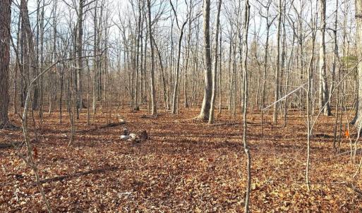 Photo #5 of R/W OFF JUSTICE DR, ORANGE, VA 10.0 acres