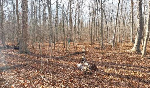 Photo #6 of R/W OFF JUSTICE DR, ORANGE, VA 10.0 acres