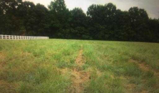 Photo #6 of 6713 SUNRISE BAY DR, MINERAL, VA 6.6 acres