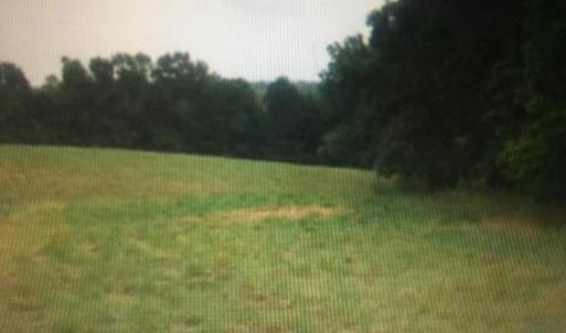 Photo #5 of 6713 SUNRISE BAY DR, MINERAL, VA 6.6 acres
