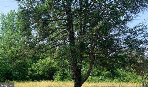 Photo #1 of 11900 POST OAK RD, SPOTSYLVANIA, VA 7.0 acres