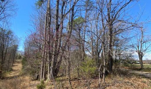 Photo #3 of 8424 KILBY RD, CULPEPER, VA 5.1 acres