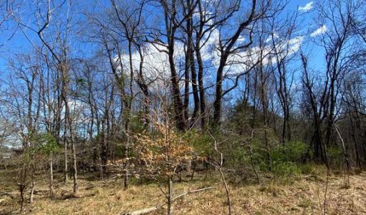 Photo #11 of 8424 KILBY RD, CULPEPER, VA 5.1 acres