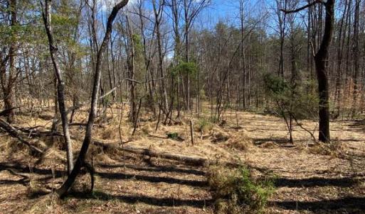 Photo #8 of 8424 KILBY RD, CULPEPER, VA 5.1 acres
