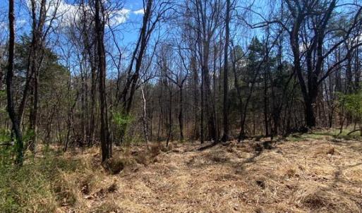Photo #10 of 8424 KILBY RD, CULPEPER, VA 5.1 acres