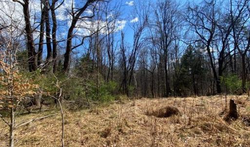 Photo #12 of 8424 KILBY RD, CULPEPER, VA 5.1 acres