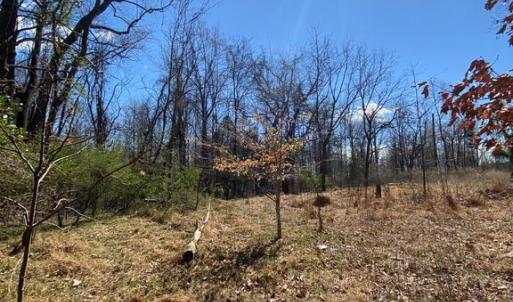 Photo #13 of 8424 KILBY RD, CULPEPER, VA 5.1 acres